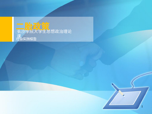 二胎政策社会调查报告ppt课件