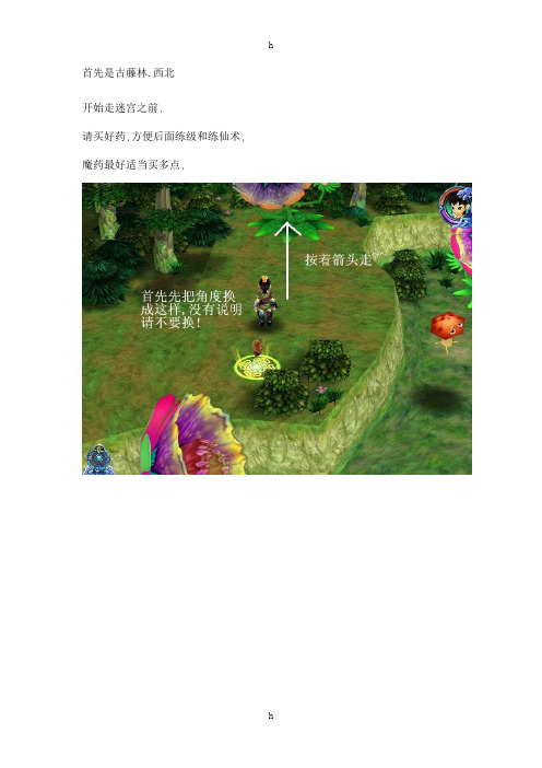 【图解】仙剑奇侠传三的各个迷宫图解-古藤林系列功略