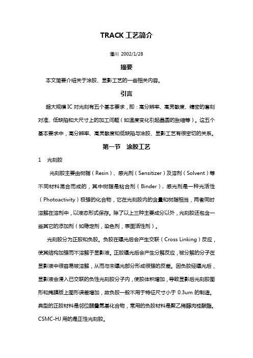 track光刻胶显影工艺