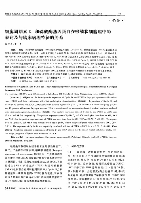 细胞周期素D1和磷酸酶基因蛋白在喉鳞状细胞癌中的表达及与临床病理特征的关系