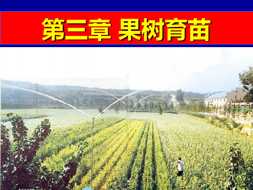 第三章果树育苗