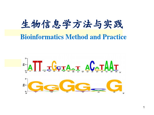 (完整版)生物信息学教学资料：生物信息学常用数据库