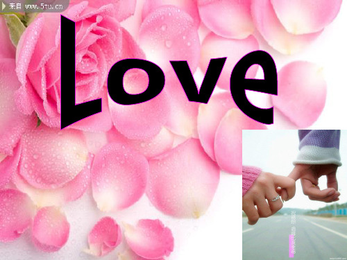 love——对爱的理解