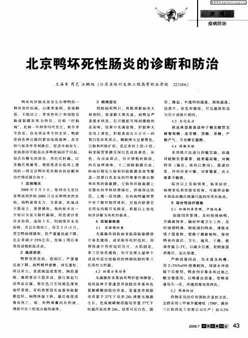 北京鸭坏死性肠炎的诊断和防治