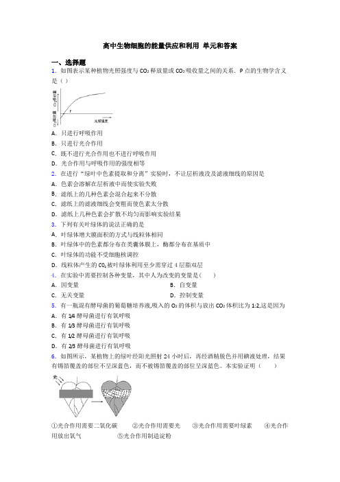 高中生物细胞的能量供应和利用 单元和答案