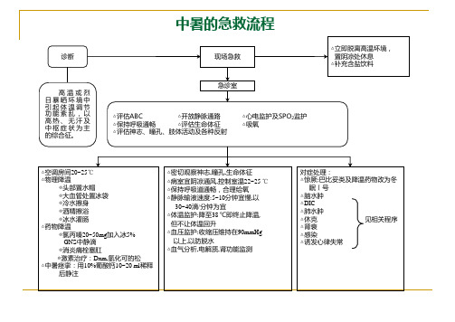 29种危急重症急救流程图解