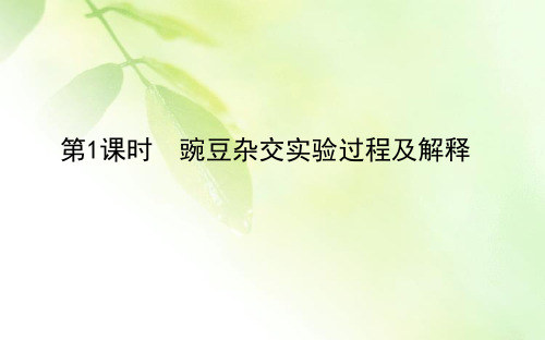 (新教材)2020生物同步导学人教第二册课件：1.1.1 豌豆杂交实验过程及解释