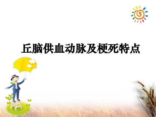 丘脑供血动脉及梗死特点ppt课件