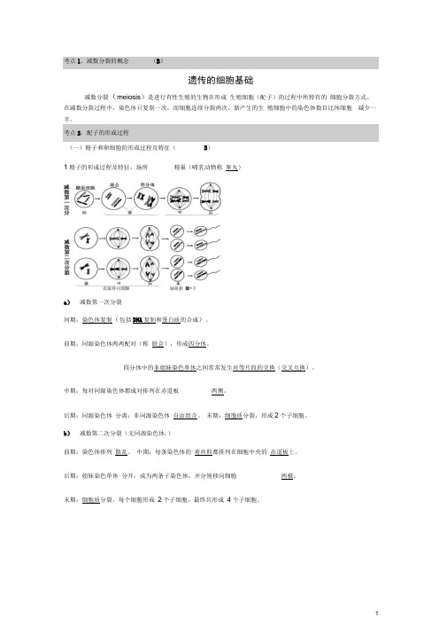 高中生物必修《遗传与进化》复习提纲