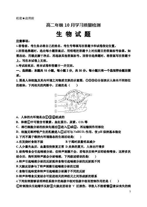 山东省泰安市宁阳一中2020-2021学年高二上学期10月学习质量检测生物试题答案集中