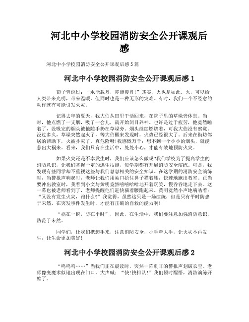 河北中小学校园消防安全公开课观后感