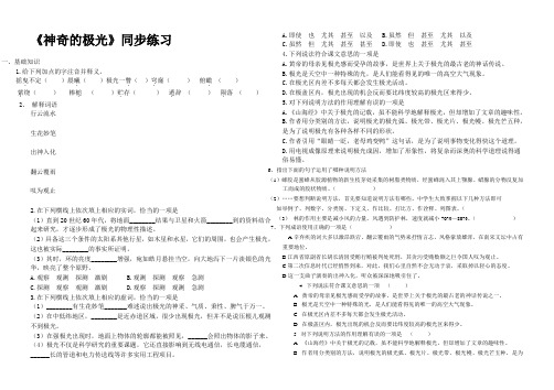 神奇的极光