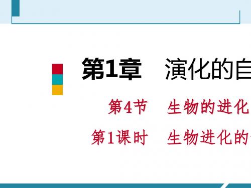 第1课时生物进化的证据及主要历程