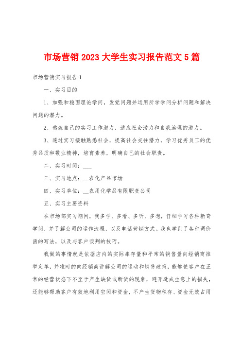 市场营销2023年大学生实习报告范文5篇