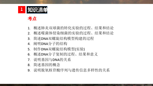 必修二学考复习基因的本质教学课件