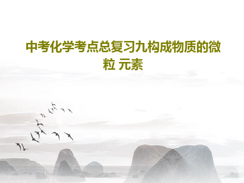 中考化学考点总复习九构成物质的微粒 元素43页PPT