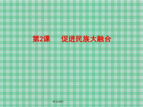 3.3《促进民族大融合》课件(人教版选修1)