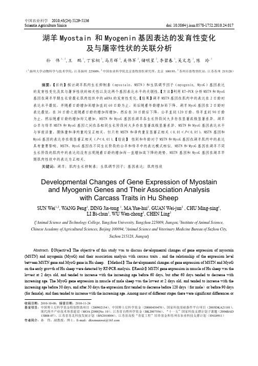 湖羊Myostain 和Myogenin 基因表达的发育性变化及与屠宰性状的关联分析