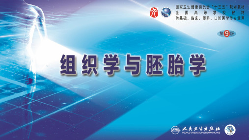 第6章 肌组织