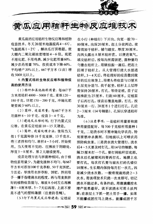 黄瓜应用秸秆生物反应堆技术