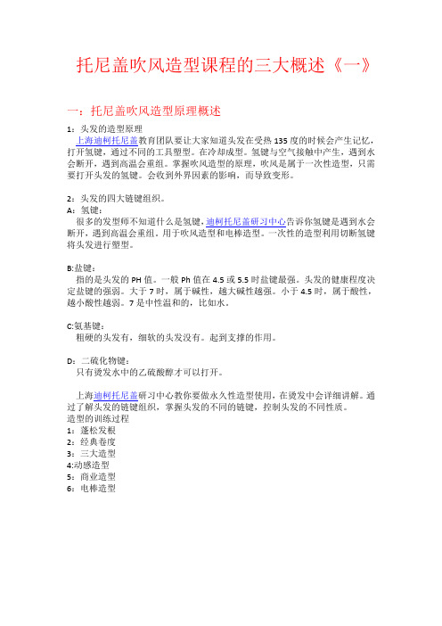 托尼盖吹风造型课程的三大概述《一》