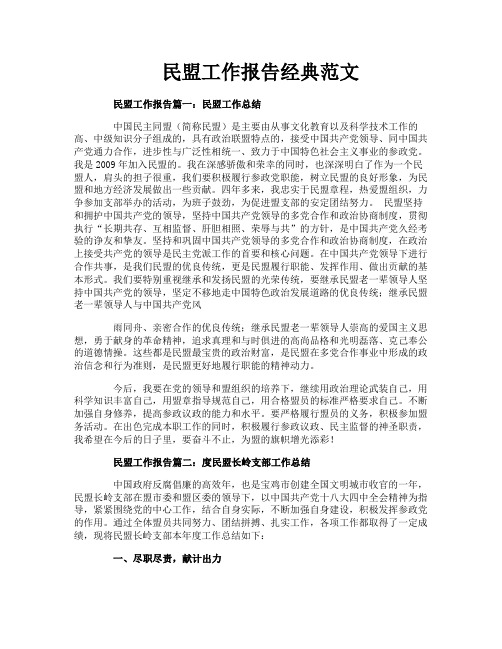 民盟工作报告经典范文