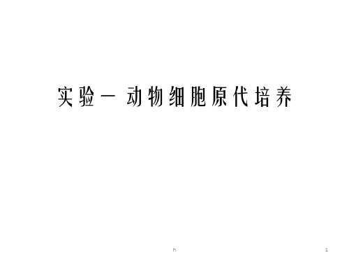 动物细胞原代培养