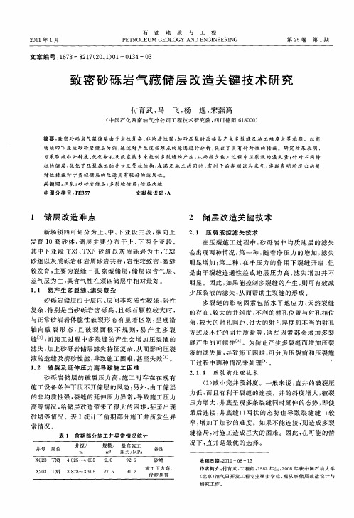 致密砂砾岩气藏储层改造关键技术研究