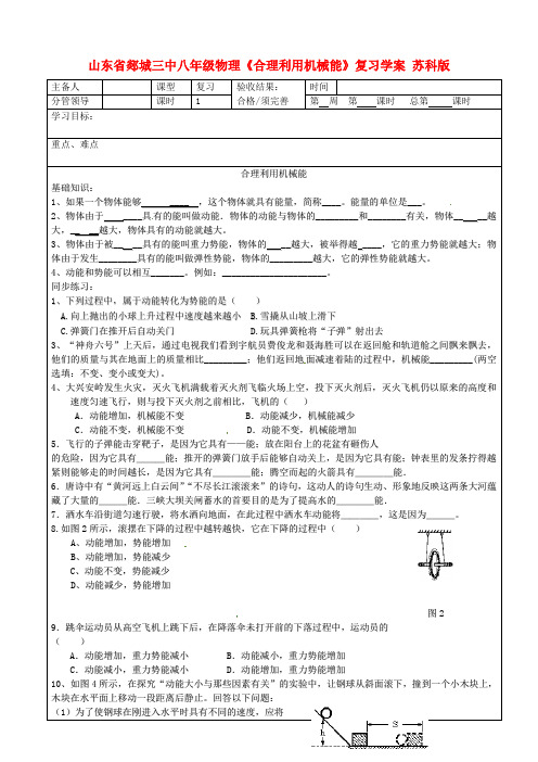 山东省郯城三中八年级物理《合理利用机械能》复习学案