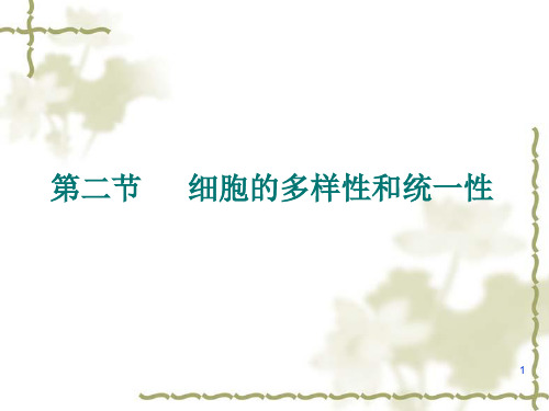 人教版 高一生物第二章第二节   细胞的多样性和统一性PPT课件