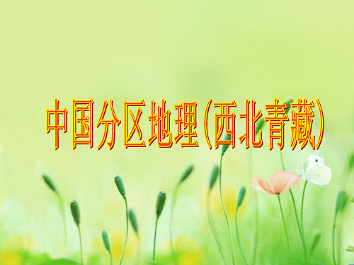 中国区域地理复习课件——西北和青藏地区