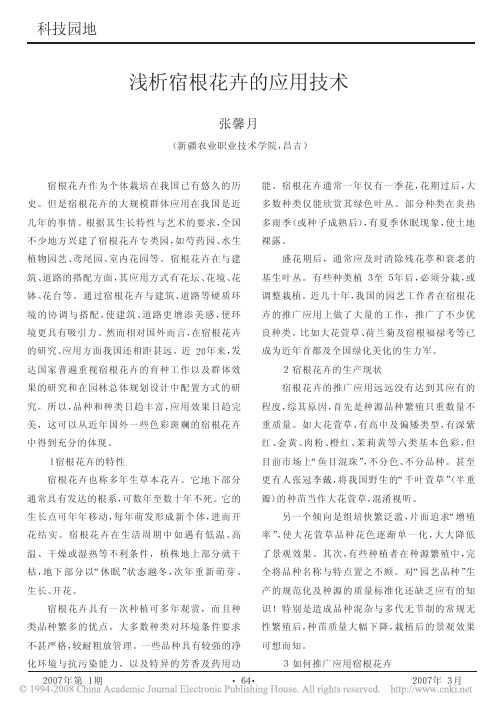 浅析宿根花卉的应用技术