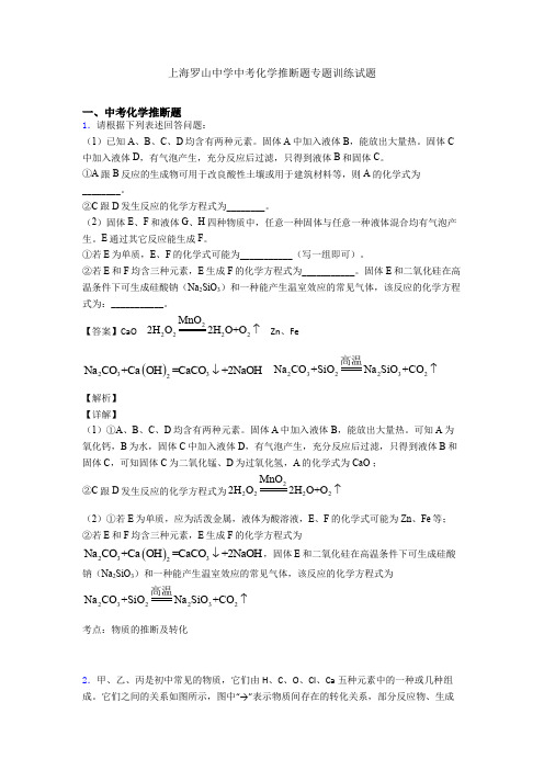 上海罗山中学中考化学推断题专题训练试题