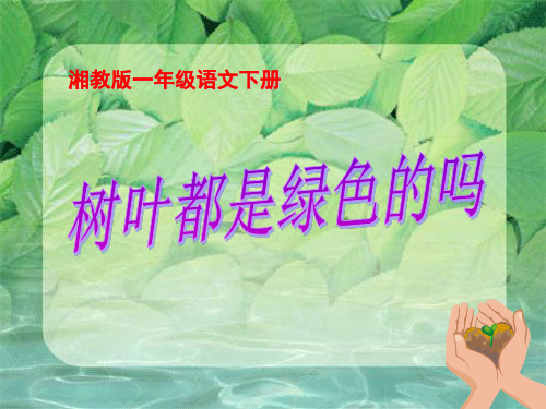 《树叶都是绿色的吗》PPT3  图文