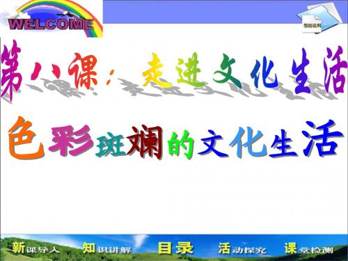 高二政治课件： 文化生活 4.8.1 色彩班斓的文化生活