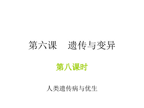高二生物人类遗传病与优生(教学课件201911)