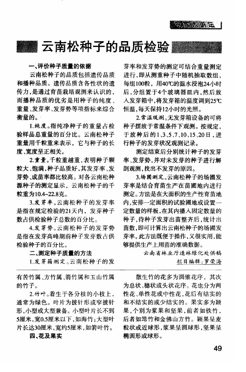 云南松种子的品质检验