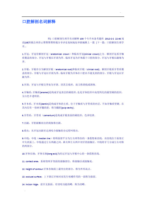 口腔解剖名词解释