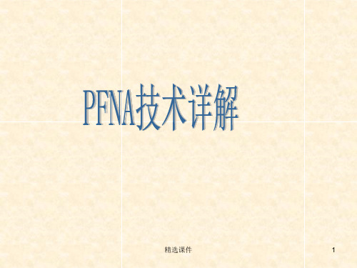 《PFNA技术详解》