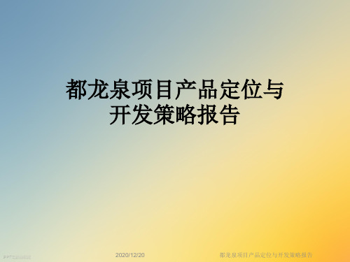 都龙泉项目产品定位与开发策略报告
