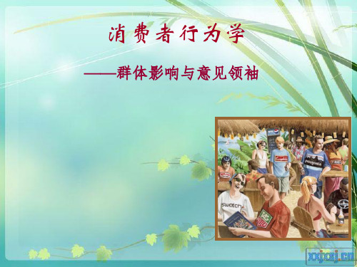 消费者行为学--群体影响与意见领袖