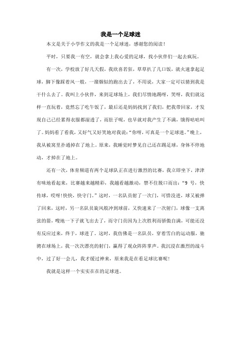 我是一个足球迷_小学作文