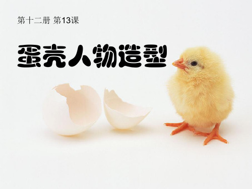 小学六年级美术下册课件：13蛋壳人物造型