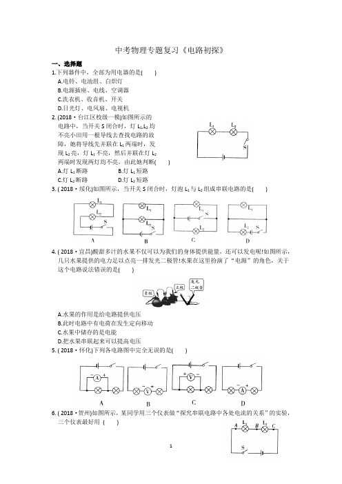 中考物理专题复习《电路初探》(含答案)