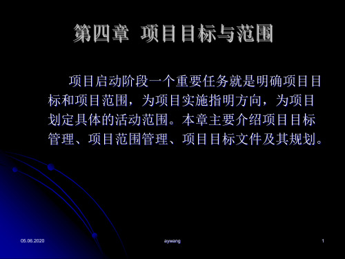 项目目标与范围