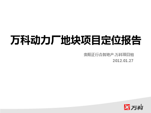 万科动力厂地块项目定位报告【终】PPT课件