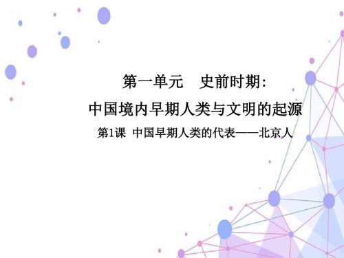 第一单元 史前时期：中国境内早期人类与文敏的起源第1课 中国早期人类的代表——北京人