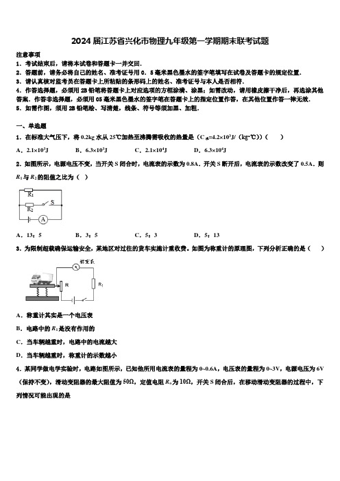 2024届江苏省兴化市物理九年级第一学期期末联考试题含解析