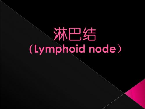 淋巴结