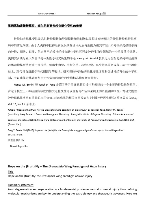 果蝇翼轴索损伤模型：深入监测研究轴突退化变性的希望